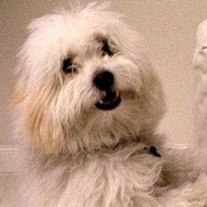 Meet your Posher, Elaine